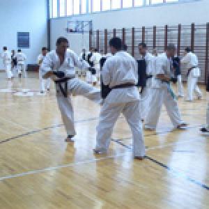 Karatecy ćwiczą na tarczach