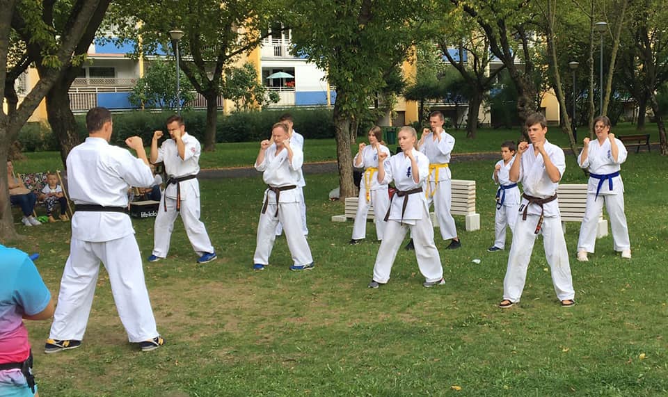 Sekcja Piątkowo - charytatywny pokaz karate na Kyokushin Karate Poznań